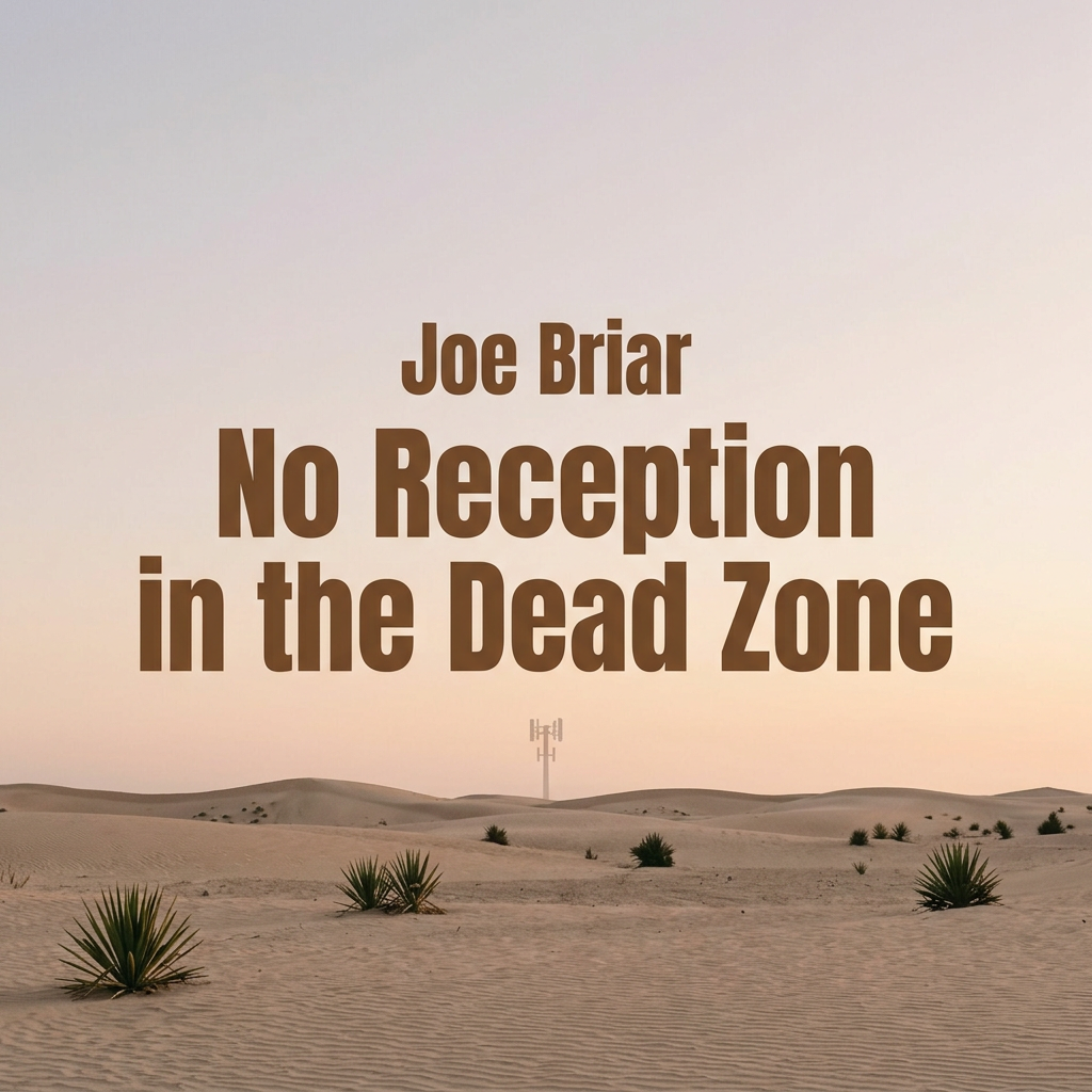 No Reception in the Dead Zone Cover